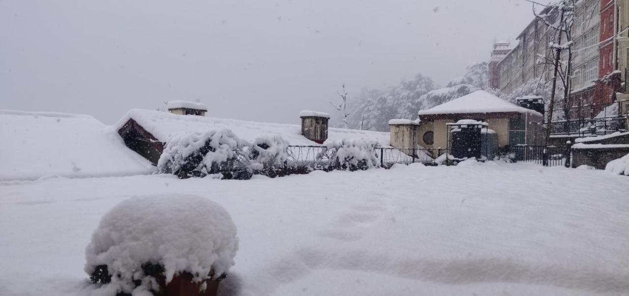 The Thistle Lodge Shimla Exterior photo